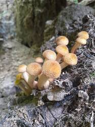 20260830_113627.jpg