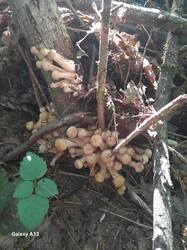 20260830_114605.jpg