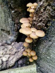 20260830_121057.thumb.jpg.f7328002c70b0cf69abbd0174cee68e7.jpg
