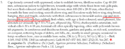 556860566_2026-08-2711_19_15-Agaricus.pdf-AdobeAcrobatReader(64-bit).thumb.png.0a6f797689b1b3ca0bbf7d89cd8cf30b.png