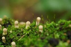 857843742_26-08-24-(5).thumb.JPG.e968f670334a5fb029c5ef6d4a725790.JPG