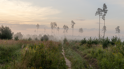 D73A7862.png
