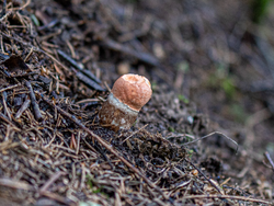 D73A7896.png