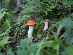 D73A7914.png