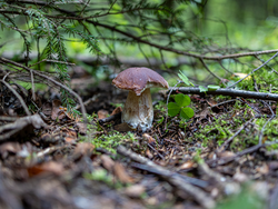 D73A7925.png