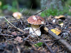 D73A7928.png