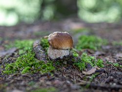 D73A7969.png