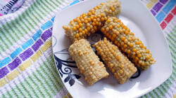 DSC06244.thumb.JPG.b8b02bd69a431d06c8dc22c3292352de.JPG