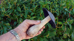 DSC06313.thumb.JPG.bd6d8a0b1ea6c4b01b7022445e55e09b.JPG