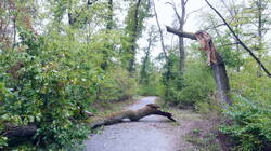 DSC09512.thumb.JPG.cb730641f9a5fcde7226d61aeed1b4eb.JPG