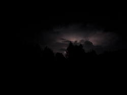 DSCN1320.thumb.JPG.926a99fb04d5a3292ebb37b28d46611b.JPG