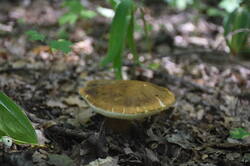 DSC_2966.JPG