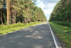 DSC_7747.thumb.jpg.d9bac08f0cd6f0d50c8a0c31cb1f9366.jpg