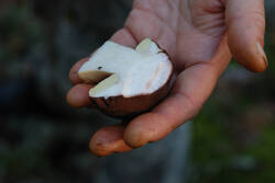 DSC_7775.thumb.jpg.229da0c3083f0eee7f8a008b3b70ebbc.jpg