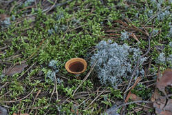DSC_7886.thumb.jpg.6918cc2780f9b0b393eabbc7d5dacf9d.jpg