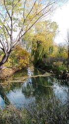 IMG-20251031-WA0023.thumb.jpg.1f2eaaaf19171aea92dbf5c4a8468af7.jpg