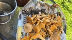 IMG-20260801-WA0000.jpg