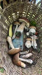 IMG-20260804-WA0000.jpg