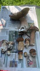 IMG-20260805-WA0001.jpg