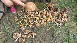 IMG20260805132936.jpg