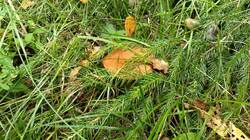 IMG20260808101831.jpg