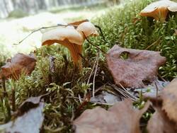 IMG20260830133231.thumb.jpg.b6cf22fc7b3ca066131e1636037db52f.jpg