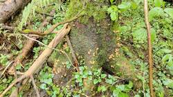 IMG20260831110925.jpg