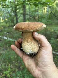 IMG_0769.jpeg