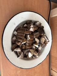IMG_0821.jpeg