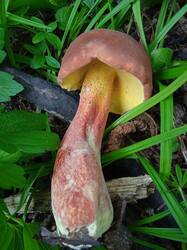 IMG_20220723_134521_1.jpg