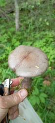IMG_20260714_160844.thumb.jpg.ea1d8defef3e56869a6b74ca84e9e5ed.jpg