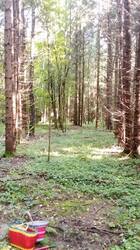 IMG_20260801_084518.jpg