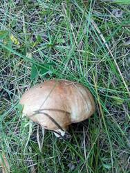 IMG_20260802_120351.jpg