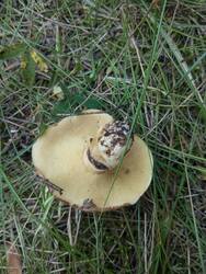 IMG_20260802_120356.jpg