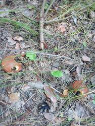 IMG_20260802_120618.jpg