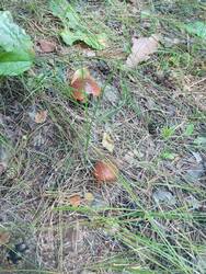 IMG_20260802_120620.jpg