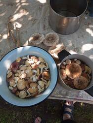 IMG_20260802_124656.jpg