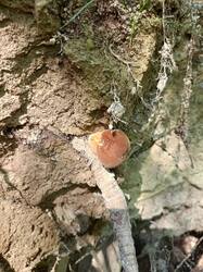 IMG_20260802_135555_237.thumb.jpg.2051f112b3cd71429d7171d91bc44427.jpg