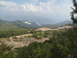 IMG_20260802_143649.jpg