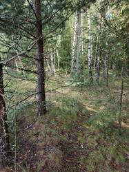 IMG_20260803_090945_239.jpg