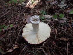 IMG_20260804_074620_716.jpg