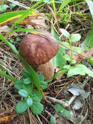 IMG_20260804_075512_067.thumb.jpg.c2d93fb1df172e264d758cf1a984c78e.jpg