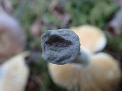 IMG_20260804_080004_004.jpg