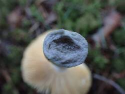 IMG_20260804_080004_217.jpg