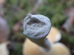 IMG_20260804_080004_630.jpg