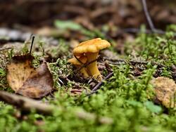 IMG_20260805_060655.jpg
