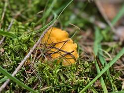 IMG_20260805_085658.jpg