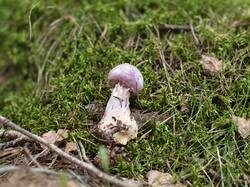 IMG_20260805_104828.jpg
