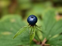 IMG_20260805_123014.jpg