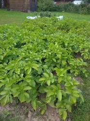 IMG_20260805_190014_1.jpg
